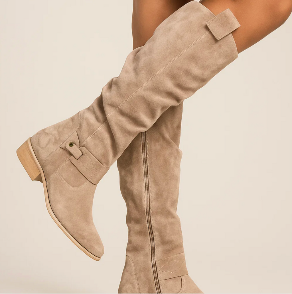 Dani Elegante Wildlederstiefel